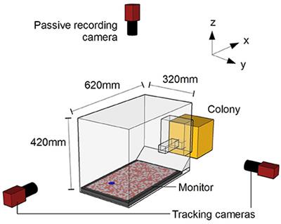 The Dominant Role of Visual Motion Cues in Bumblebee Flight Control Revealed Through Virtual Reality